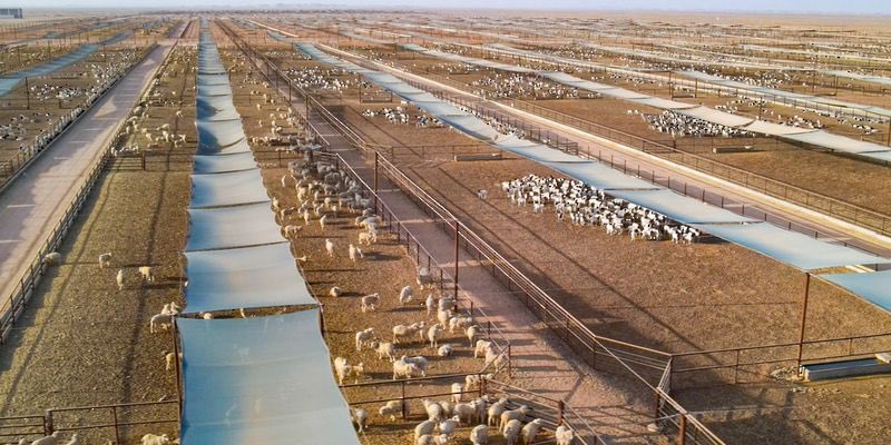 وكالة الأنباء العمانية tweet media