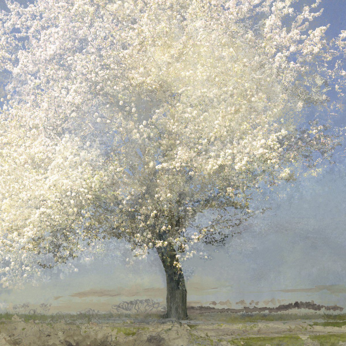 소리그림 tweet media