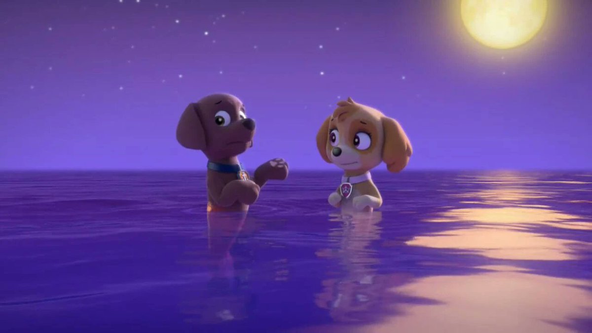 Zuma Pup Fanatic tweet media