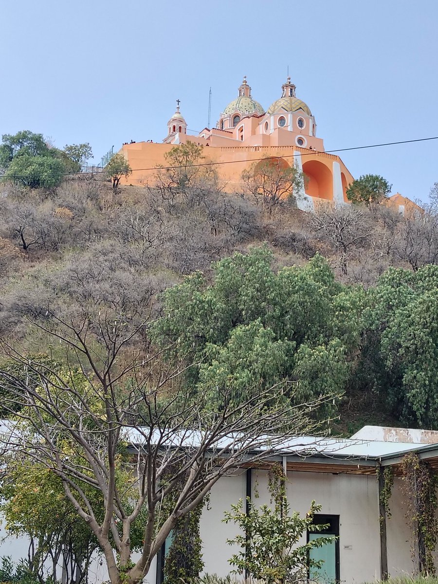 Izzy 🧠 tweet media