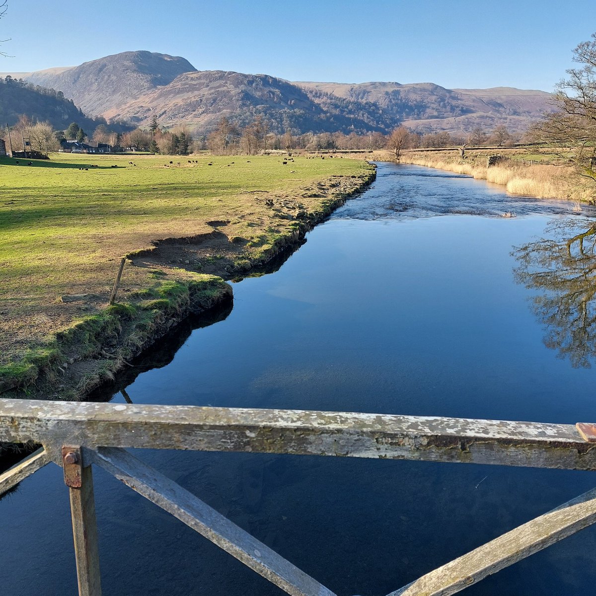 Graham Stables tweet media