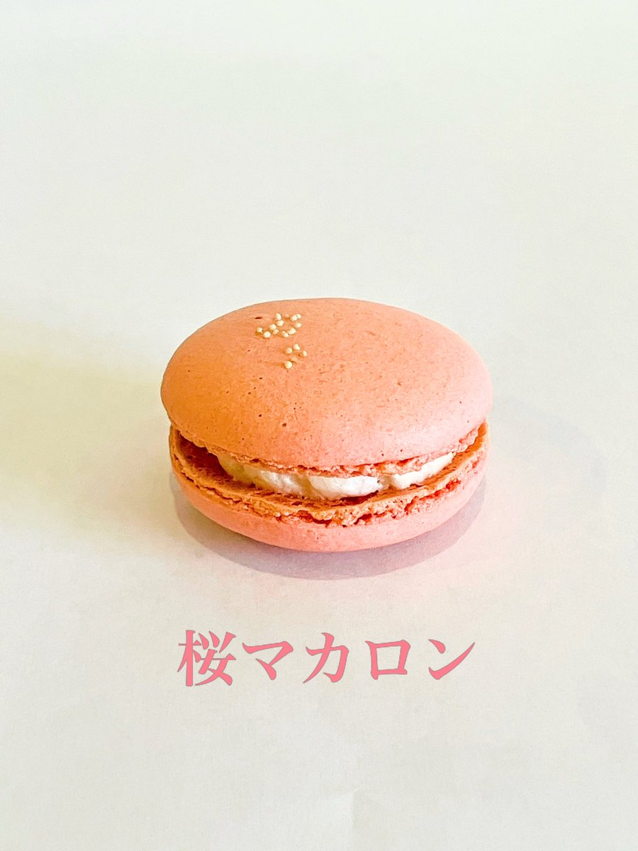 cafedropjp's tweet photo. 🌸桜マカロン🌸

本日より販売しております。
春のギフトにぜひ！ https://t.co/HA1eikV7xU