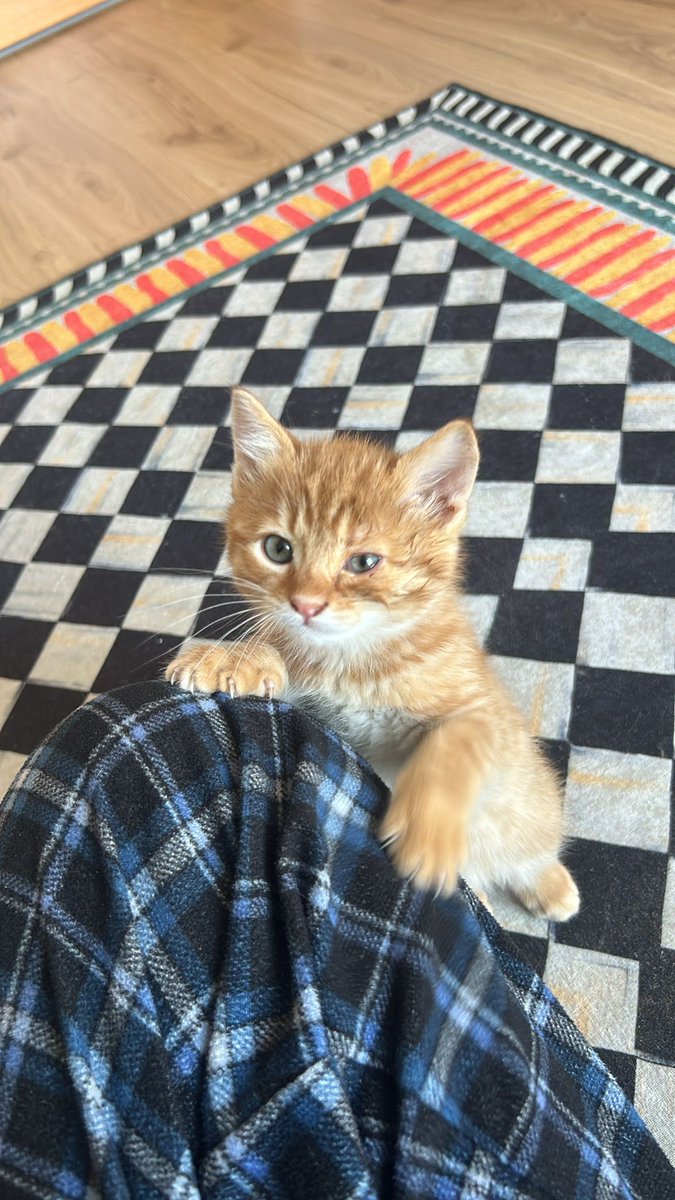 Yuva arıyoruz 🥺💜