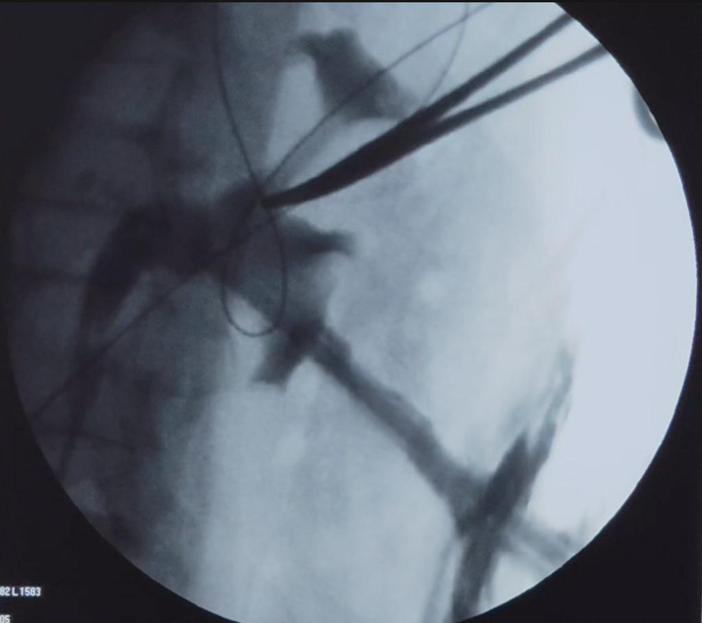 Dr Chandra Mohan Vaddi tweet media