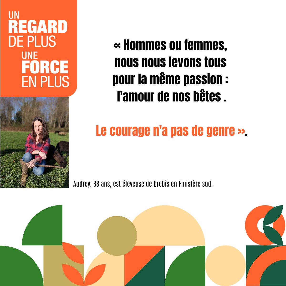 MSA Armorique tweet media