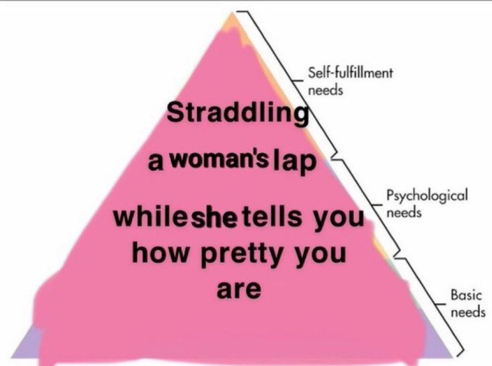 aster caroline🦊 tweet media