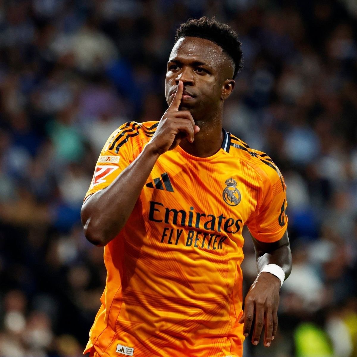 Madrid Zone tweet media