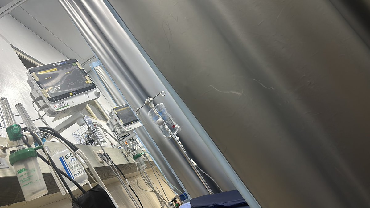 lunnarrrrrrrr tweet media