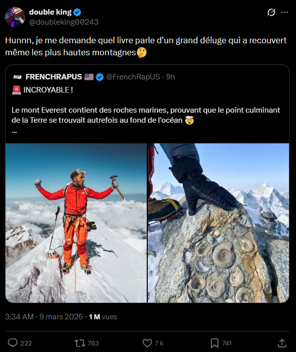 Le Letchi 🌋 tweet media