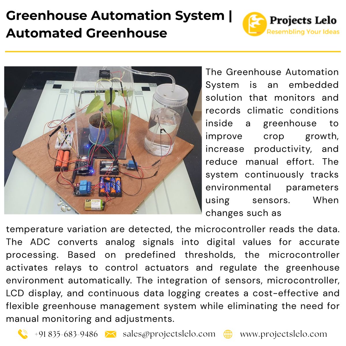 Projects Lelo tweet media