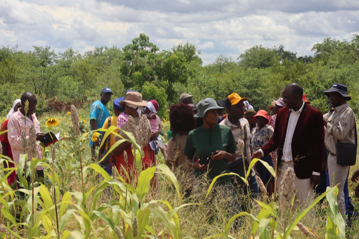 TSURO Trust tweet media