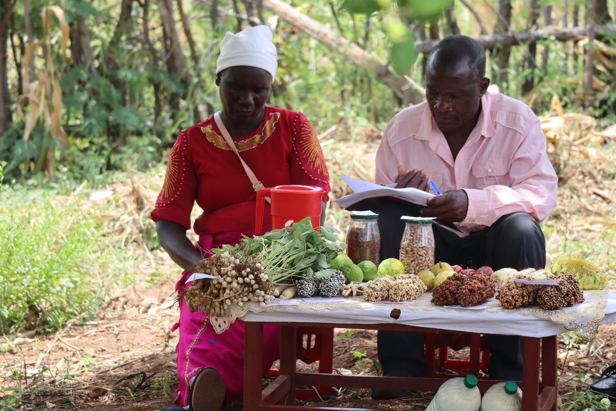 TSURO Trust tweet media