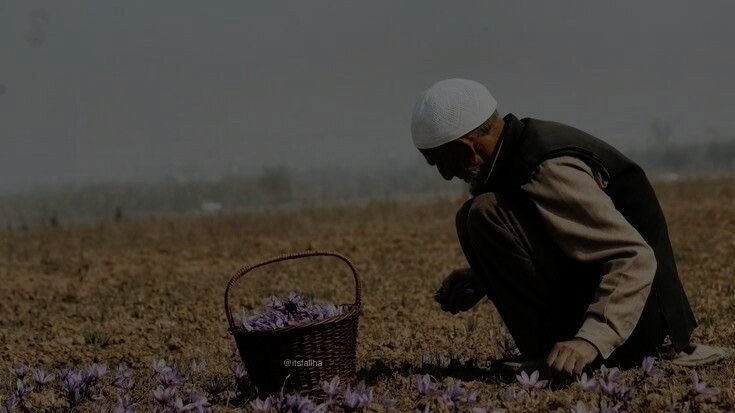 " Peace be upon those who handpick their words, for fear of hurting anyone"