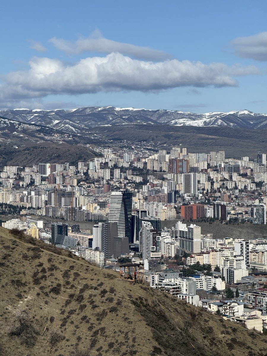 David Harrison tweet media