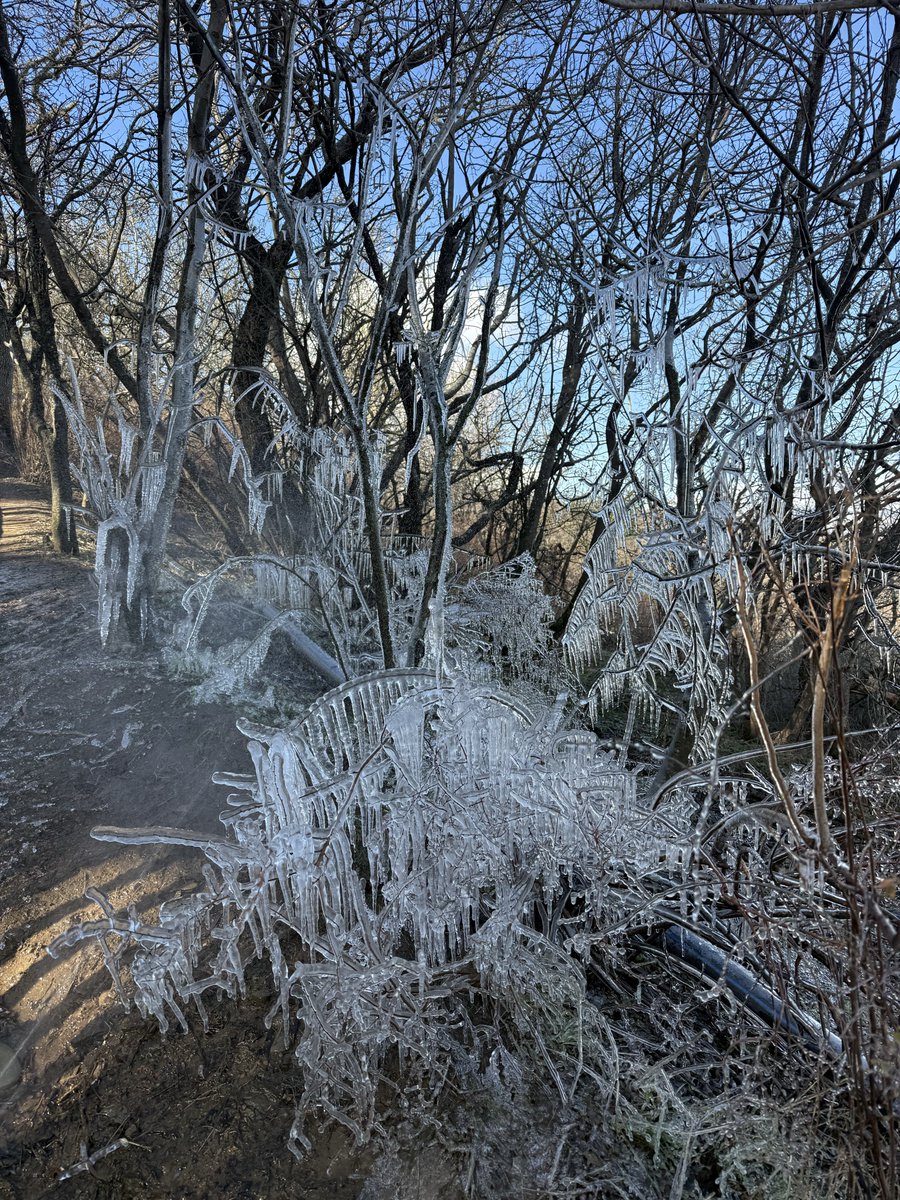 David Harrison tweet media