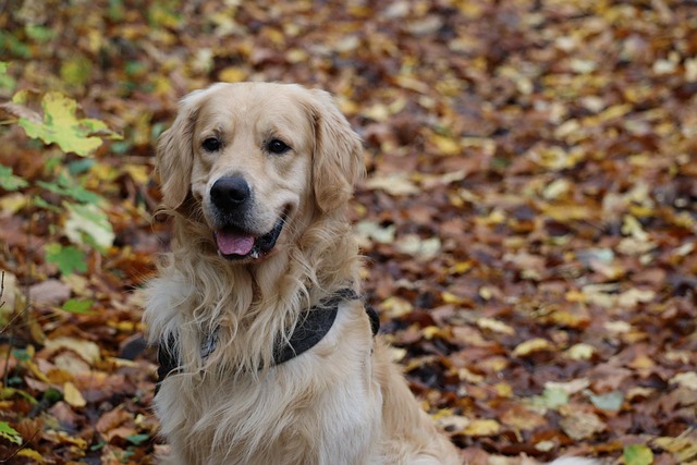 Teresa Pollock tweet media