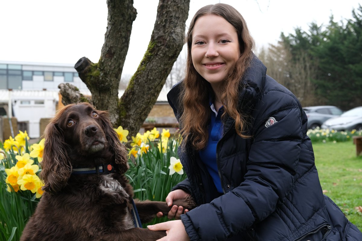 The Abbey School tweet media