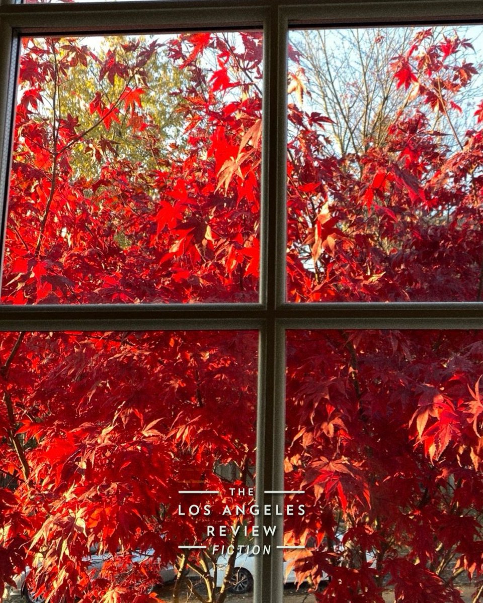 Los Angeles Review tweet media