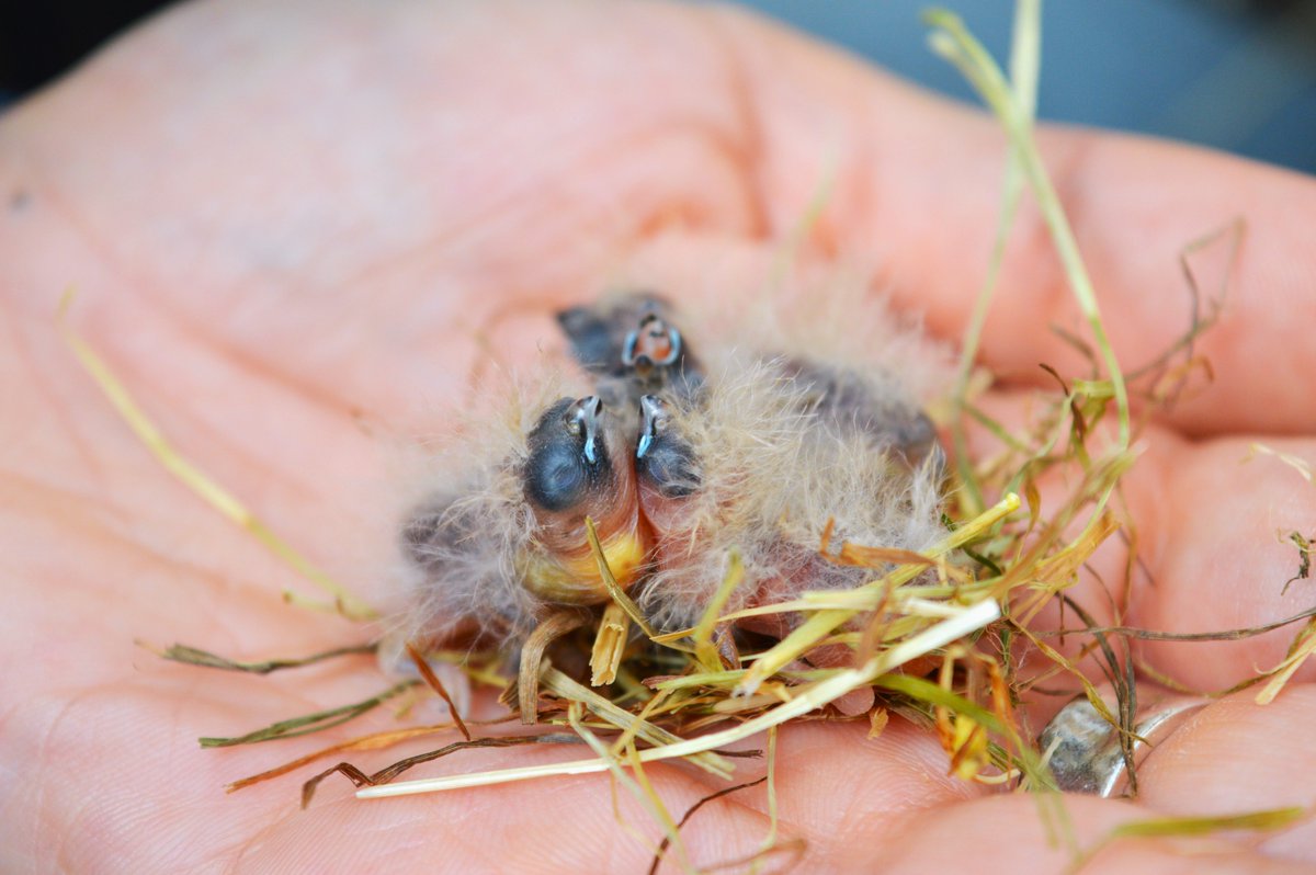 Marianthi Tangili tweet media