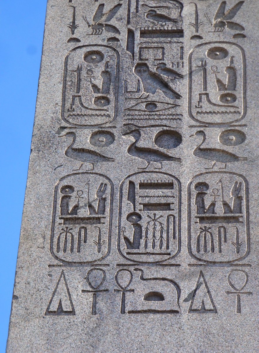 Paul Hatte tweet media