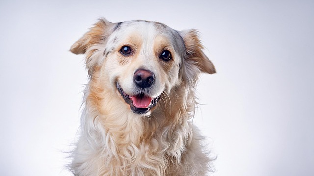 Tiffany Hamilton tweet media