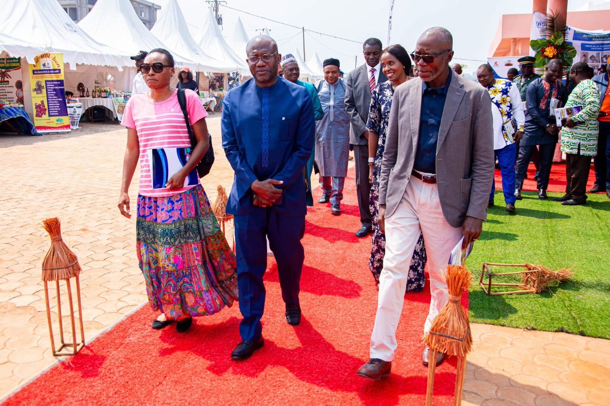 UN_Cameroon tweet media