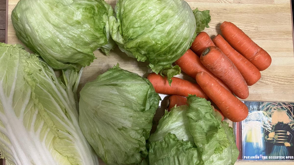 tsuki_sushisuki's tweet photo. ファンの皆様お待たせ致しました今週の野菜の時間です!レタスとにんじんはそれぞれ100円!
そして白菜!なんと48円!
合計267円!いいね!
\\\\٩( 'ω' )و ////
サラダと鍋にしようかな!
大きさ比較用にエキセントリックオペラのパラディソ置いときます!
#野菜
#やさい
#yasai https://t.co/FrDodTVQE7