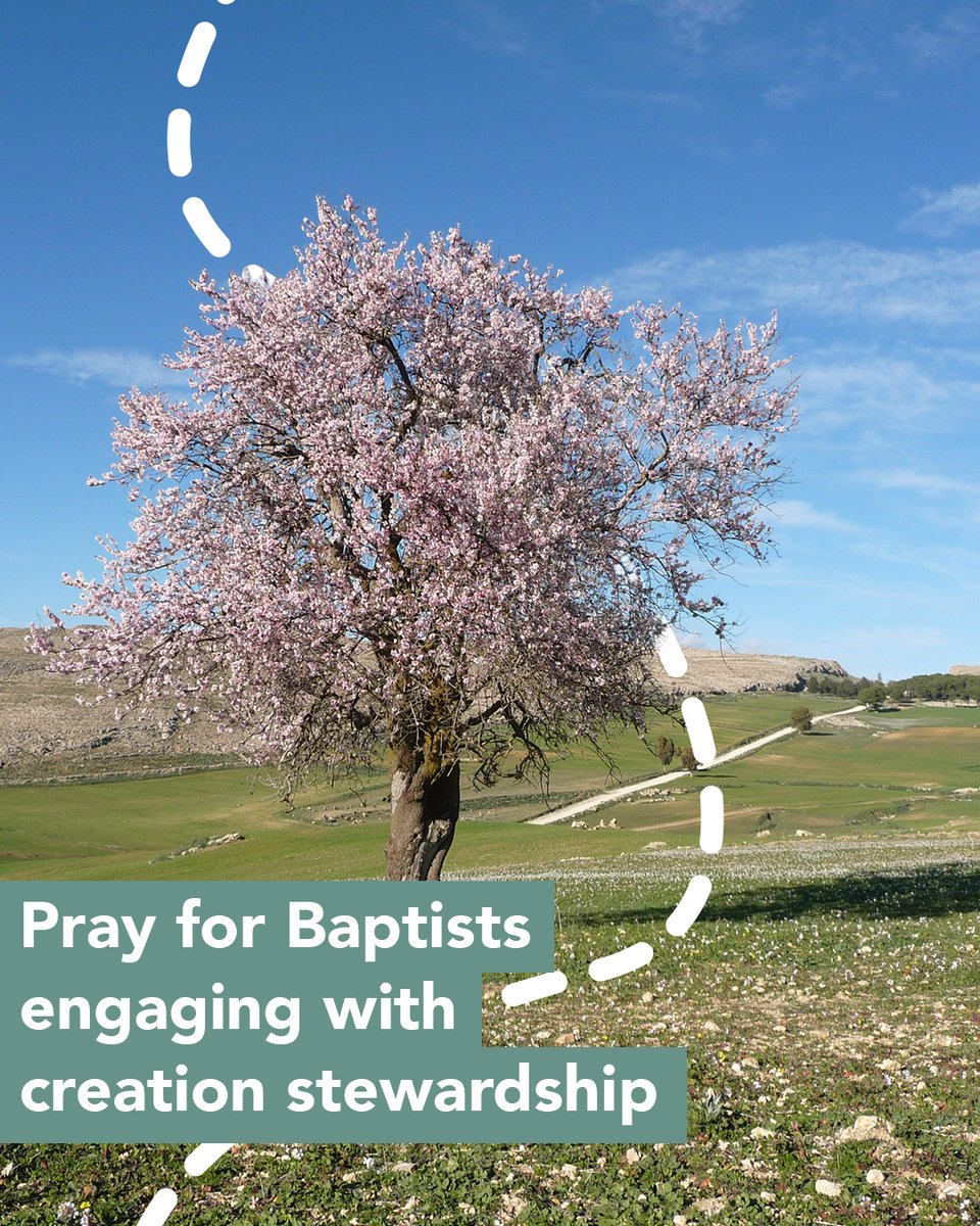 BMS World Mission tweet media