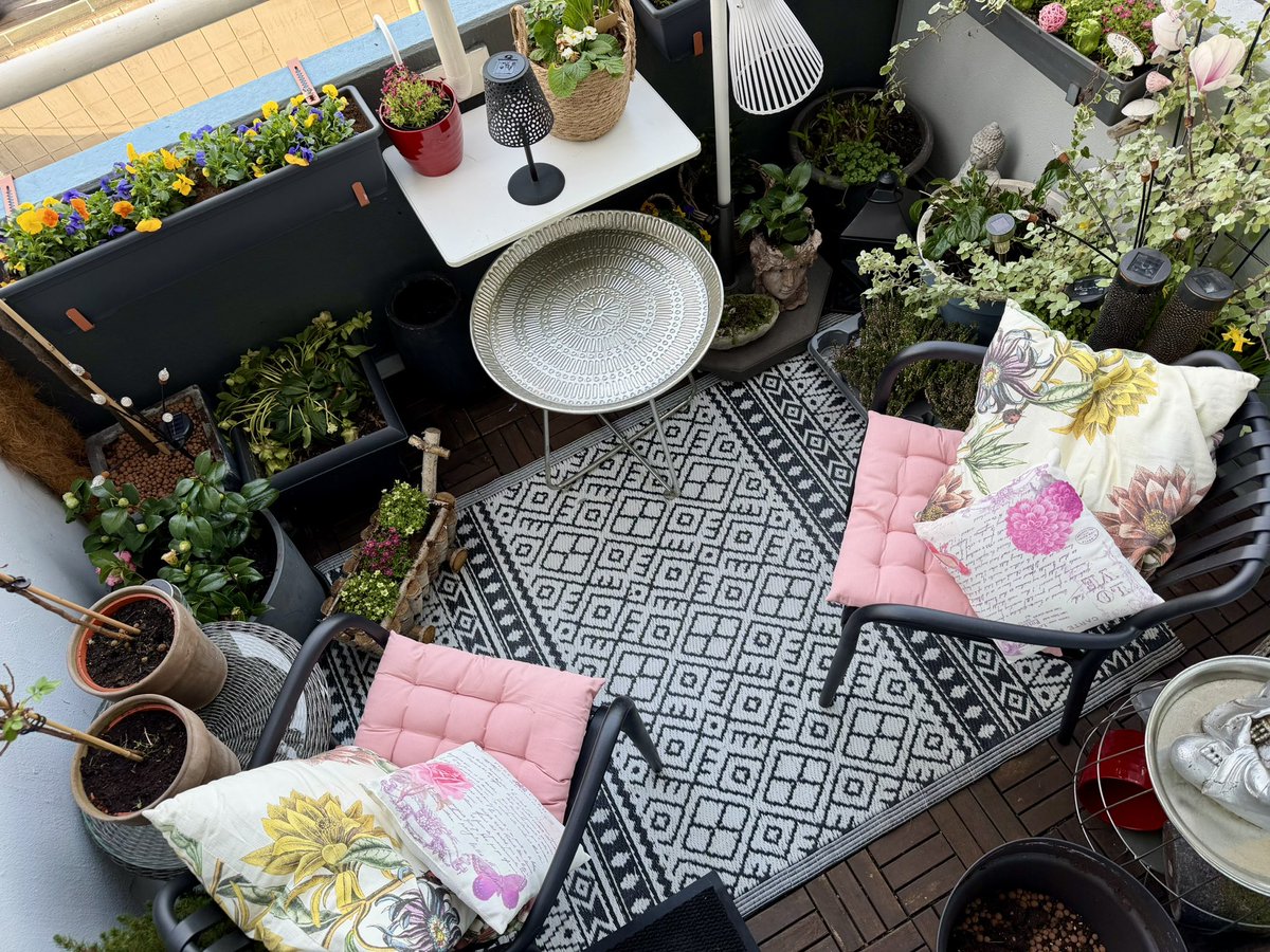 TheblossomRDAM's tweet image. Laat de zon maar komen. Lantarens nog op hangen en ja het is klein en vol maar het is mijn #oase in een drukke stad #balkonia #loveit