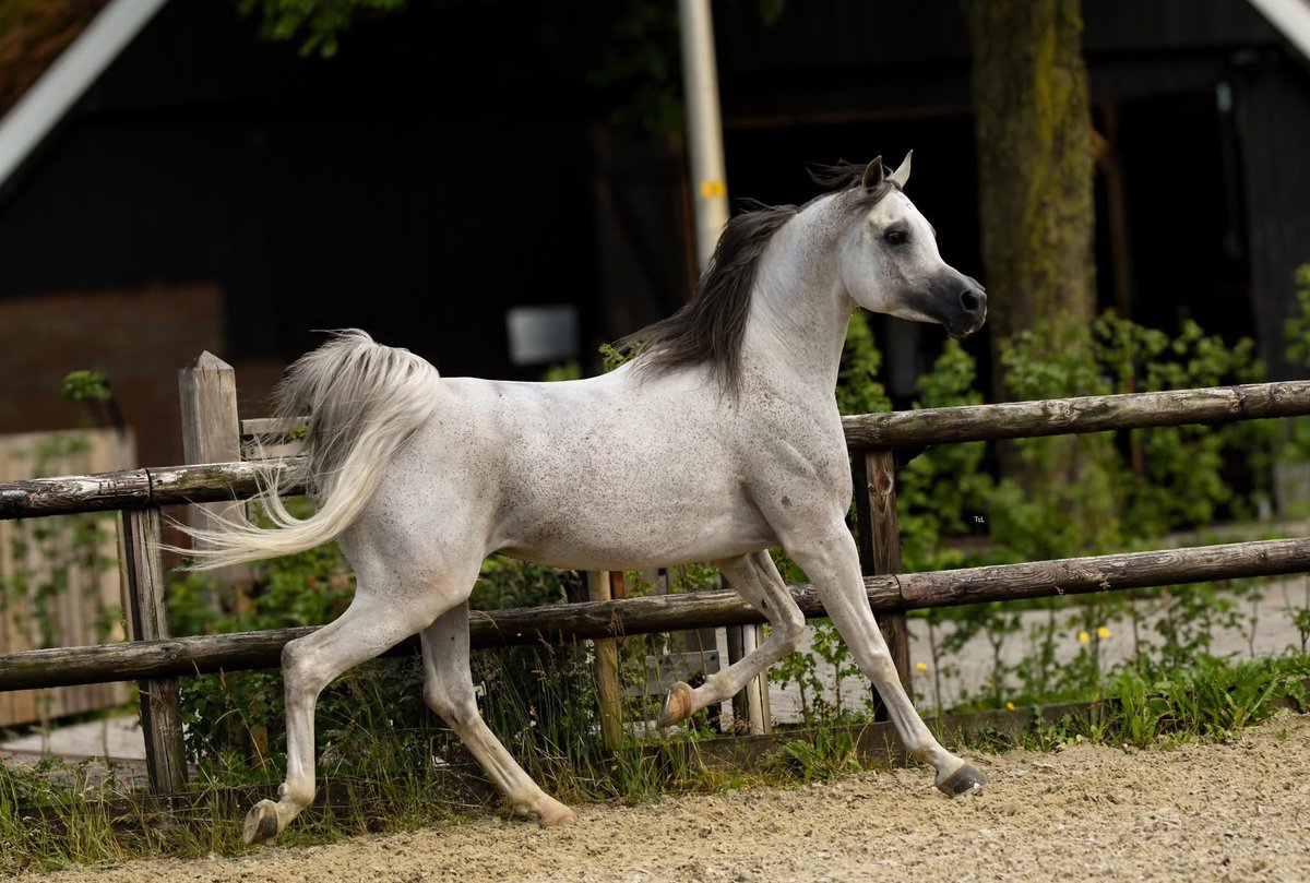 *اللهم إني توكلت عليك* *فأعني، ووفقني، واجبر* *خاطري، جبراً أنت وليه* *يارب، أدعوك بعزتك* *وجلالك، أن لا تصعب لي حاجة،* *ولا تعظم علي أمراً، ولا تحنِ لي قامة، ولا تفضح لي سراً،* *ولا تكسر لي ظهراً، اللهم اجعل دعواتنا لا ترد، وهب لنا رزقاً لا يعد، وافتح لنا باباً للجنة لا يسد..*