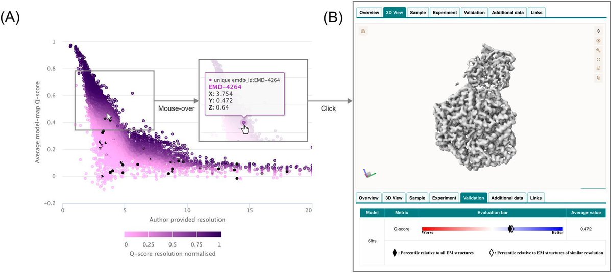 EMDB - EMPIAR @EBI tweet media