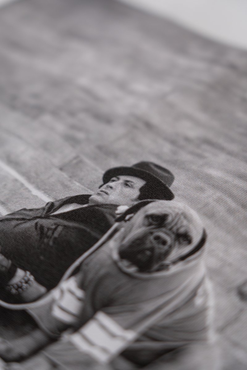 Grafitee tweet media