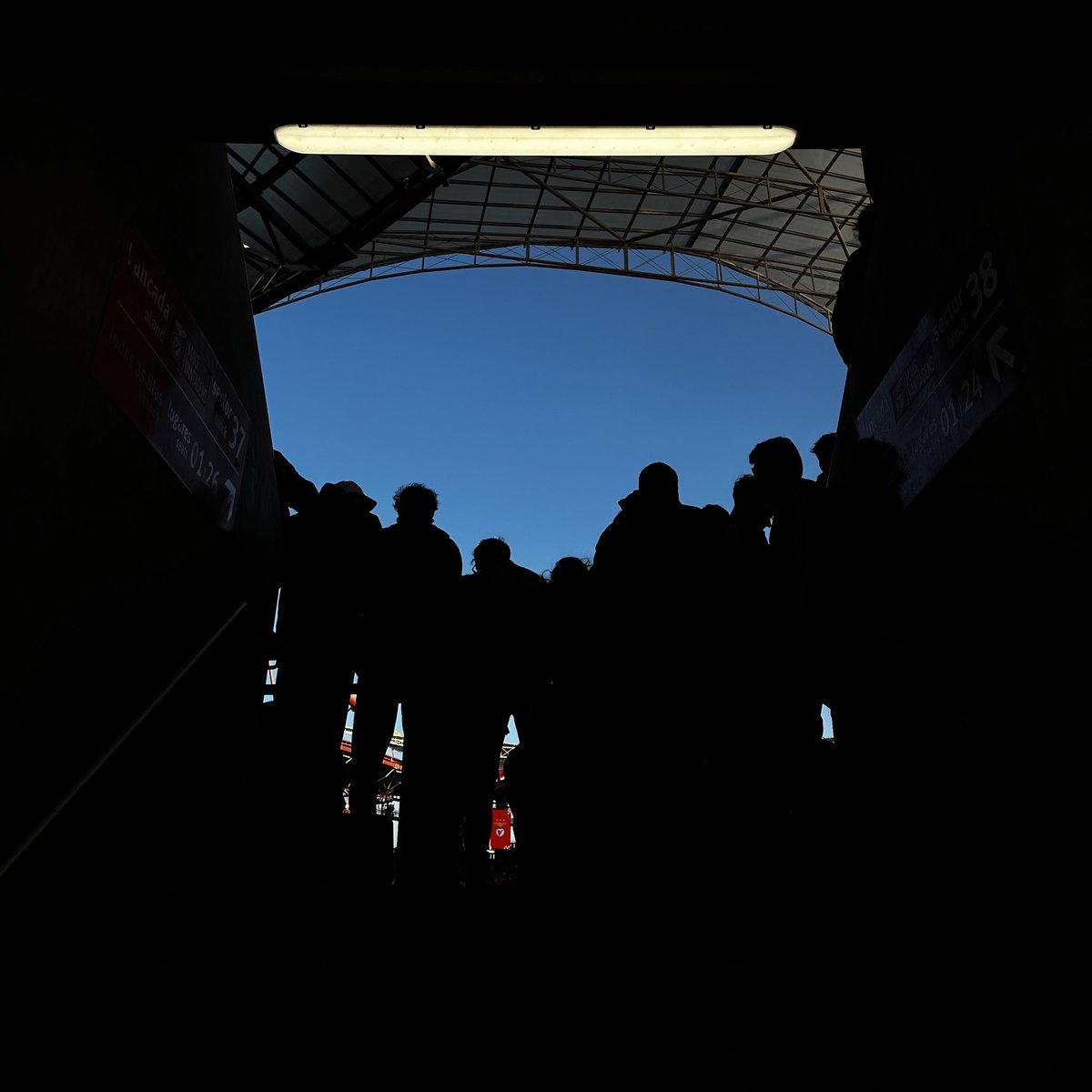 Desculpem o desabafo, mas estou muito cansado. A época está a ser miserável, estarmos sem lutar por um título que seja,não é o Benfica que me reveja. Este domínio constante do Porto em nossa casa,revolta-me.Este resultado revolta.Quero o meu clube de volta please.