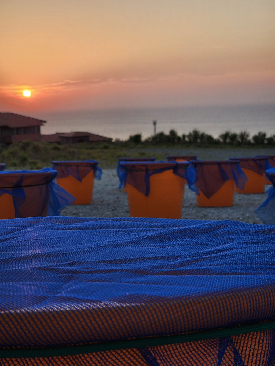 Dr Sam Ross tweet media