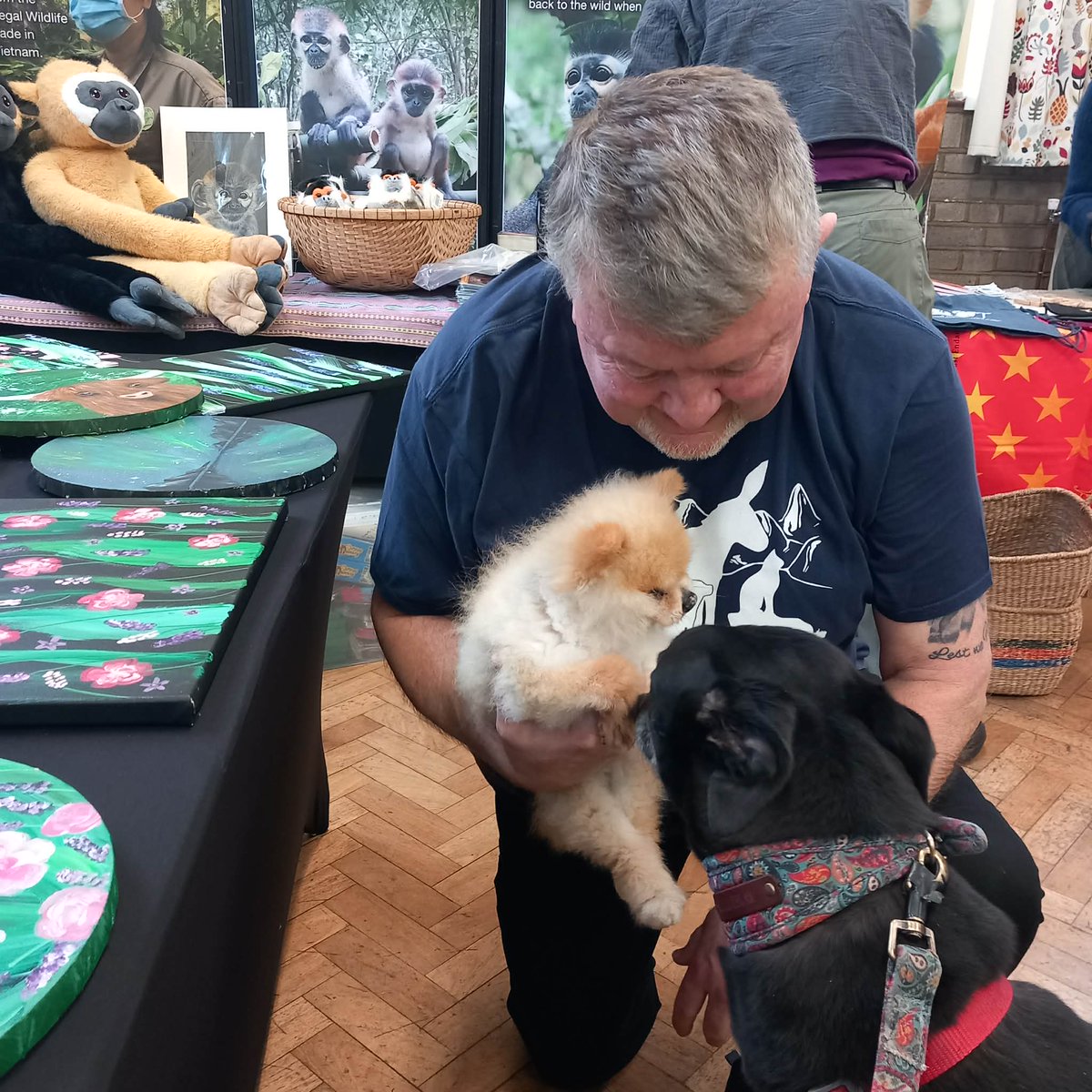 Whittingham Kennels - Retired Greyhounds Charity tweet media