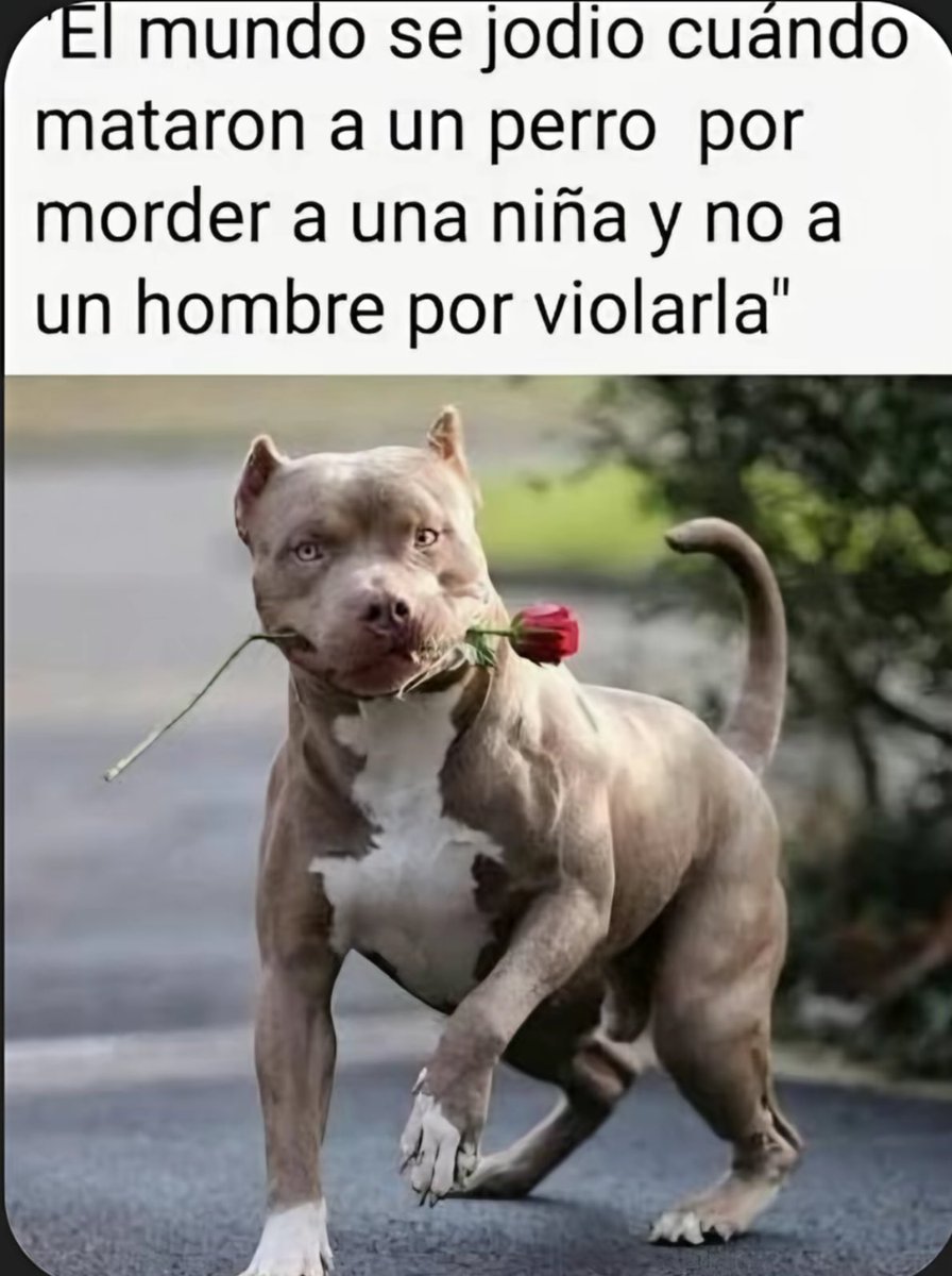 Muy.Mona/🇪🇸💚 tweet media