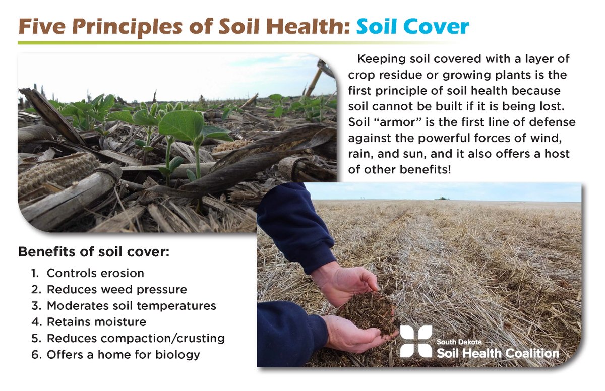 SDSHCoalition tweet media