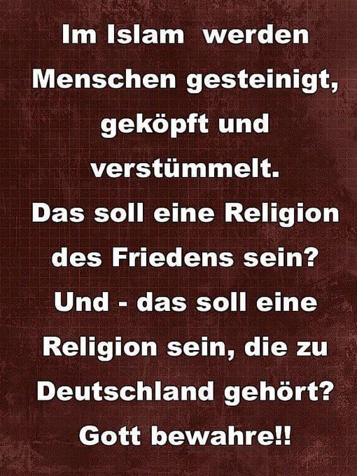 Ralf Rat tweet media