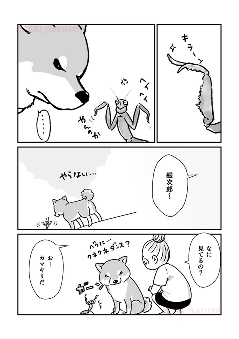 【再掲】「その存在がいなくなると 名を呼ばなくなる」(2/3) 
