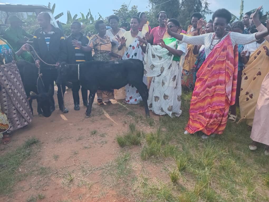 GACACA SECTOR tweet media