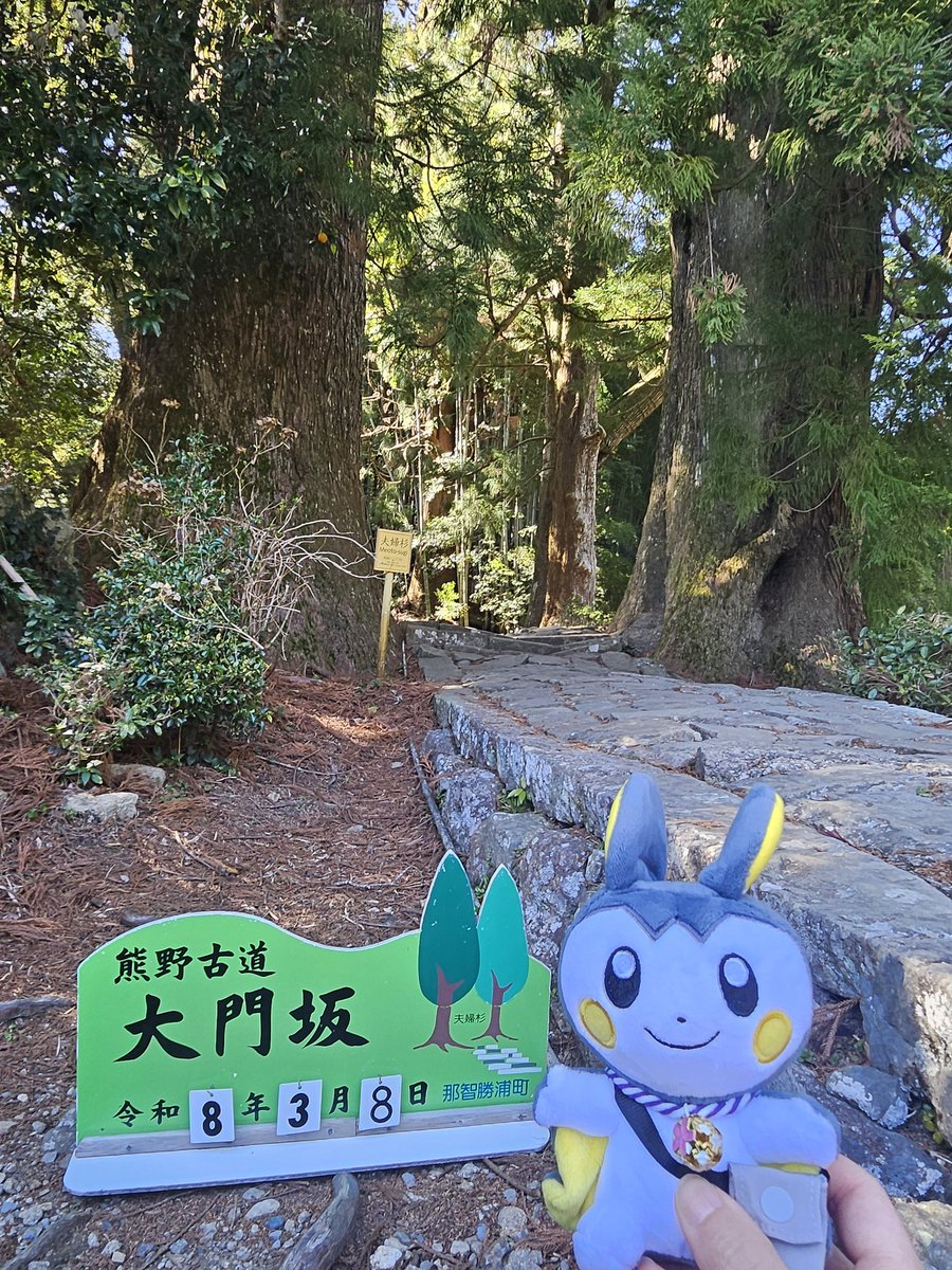 tomasheep's tweet photo. 熊野古道　三山巡り https://t.co/lnzBPc9pn4