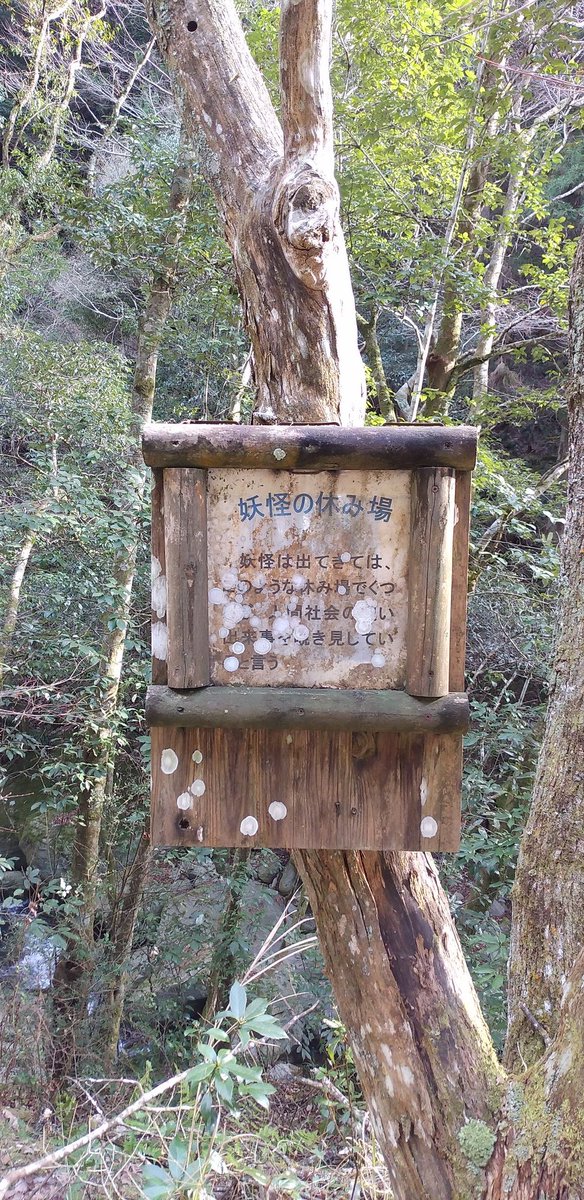 道の駅大歩危・妖怪屋敷と石の博物館 tweet media