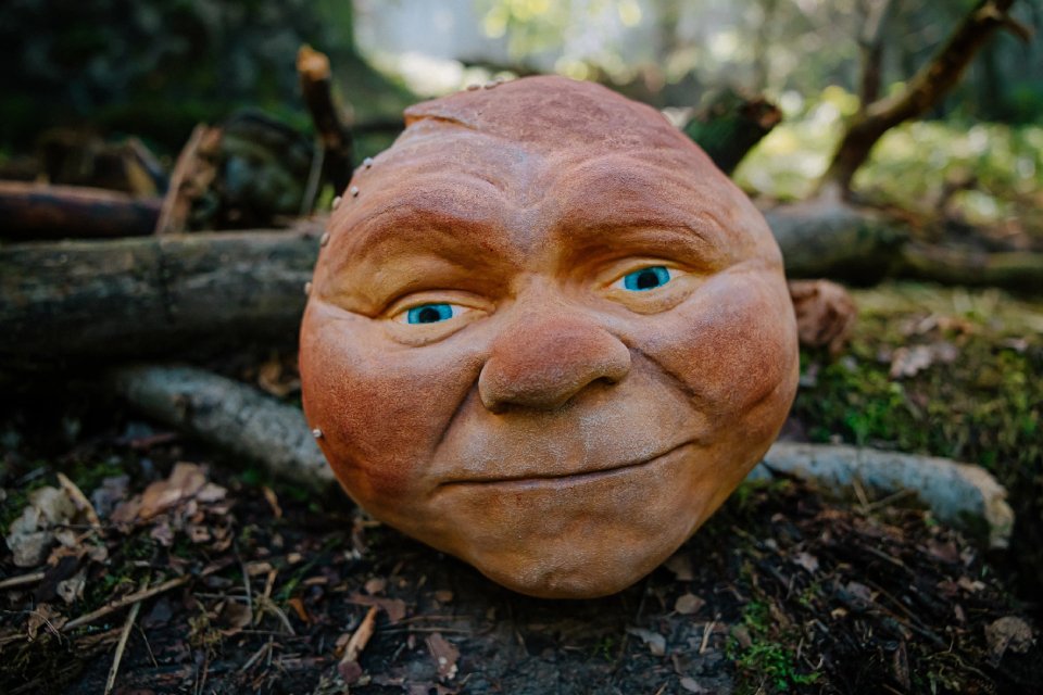 GalizoooN tweet media