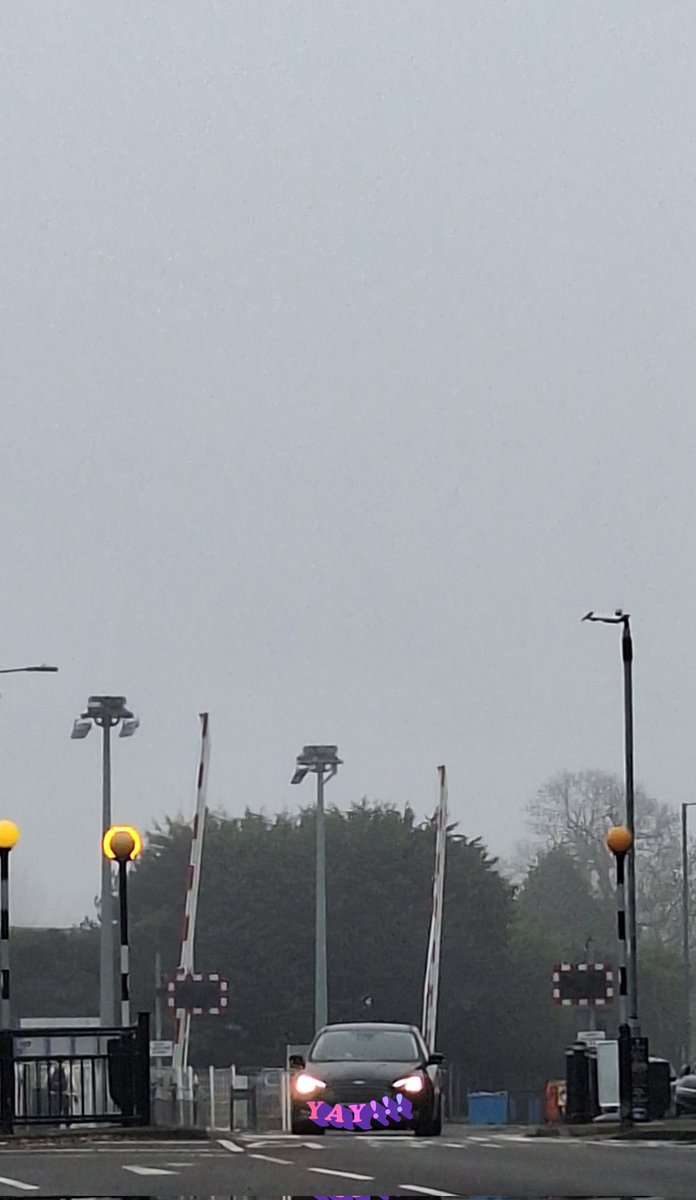 It's Monday. Yey. #carlegs #levelcrossing