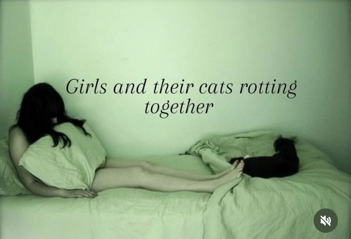 ♱ ✮₊˙♡♱ (@guttergore1) on Twitter photo 