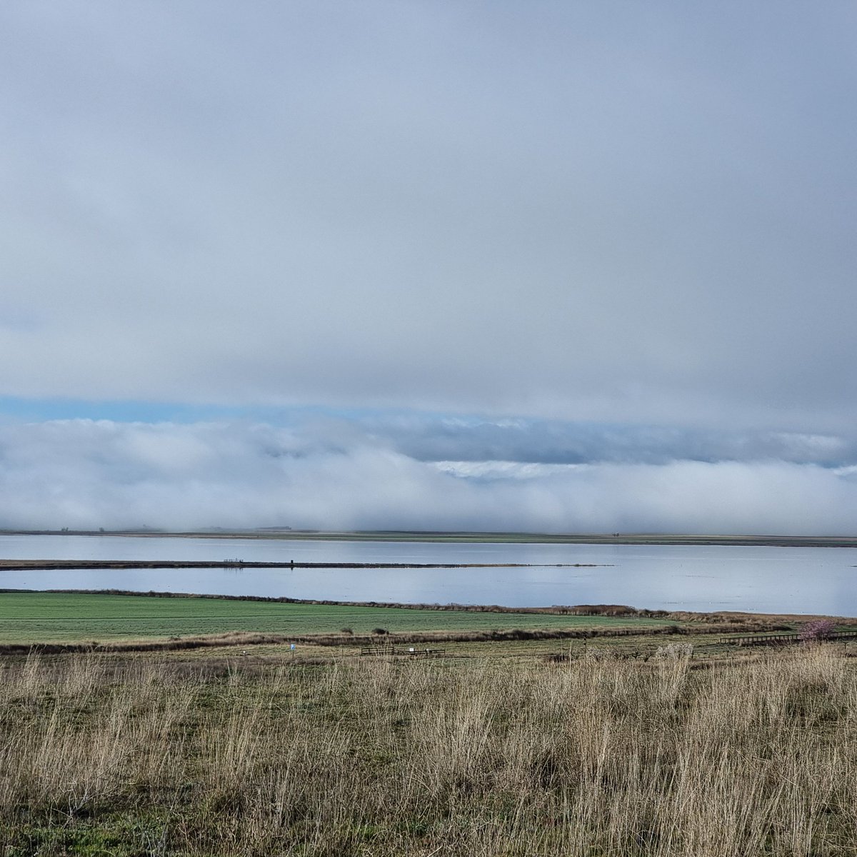 Temperatura 🌡 a las 8h  -0.3°
Sensación térmica -1°
Buen y feliz día para todos.
Lunes 9 de marzo
#lagunaDeGallocanta