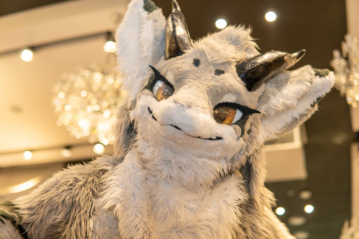 하노 / HANO tweet media