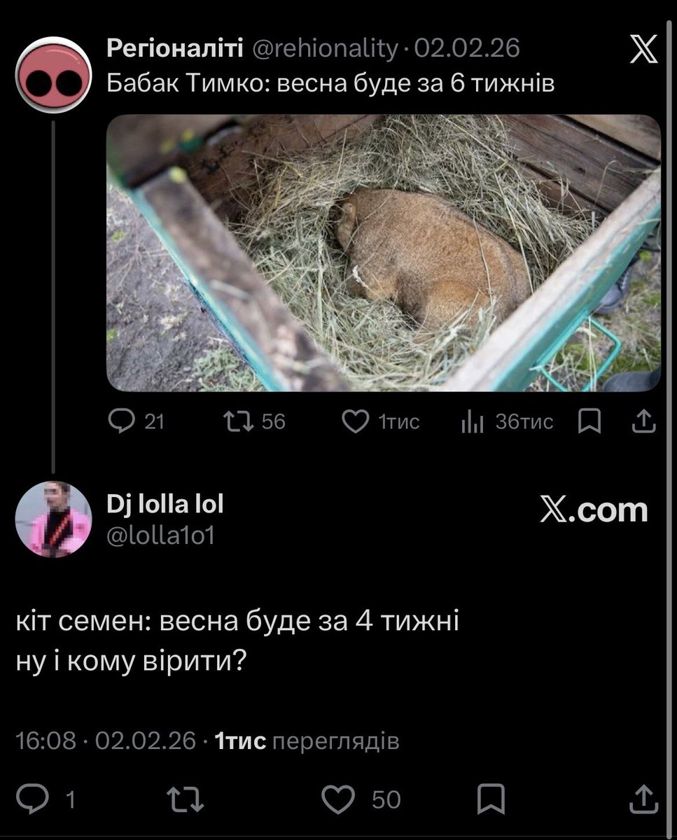 Dj lolla lol tweet media