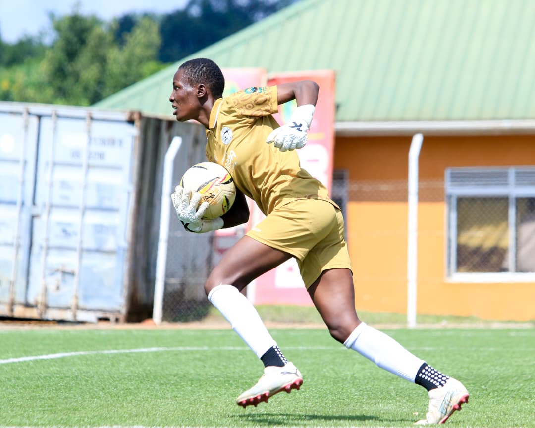 NAAVA MOLLY tweet media