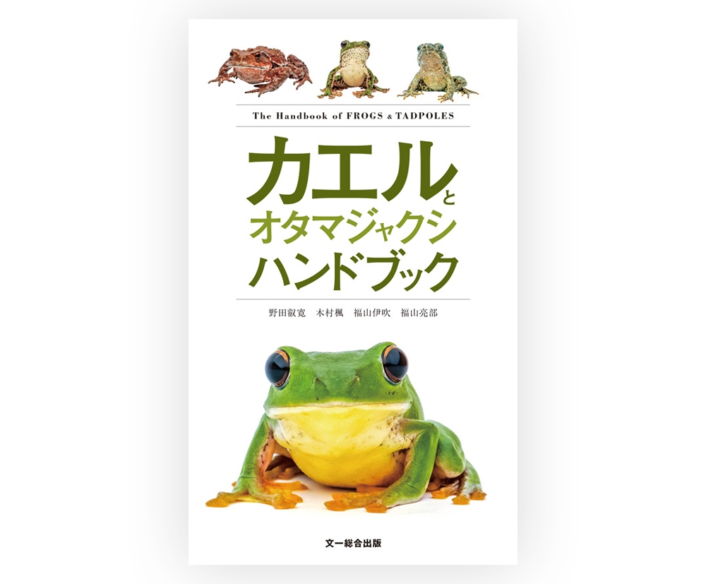 ［新刊書籍のお知らせ］
先にお知らせいたしました4月下旬発売の新刊【カエルとオタマジャクシハンドブック】。

＼\ 先ほど書影が出来上がりました /／

本書は日本に生息するカエル全54種を収録したカエル図鑑です（外来種を含む）。二次元コードから鳴き声も聞けます！🐸🎶